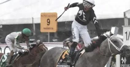 The Preakness Bounce: How the Derby Hangover Skews the Market